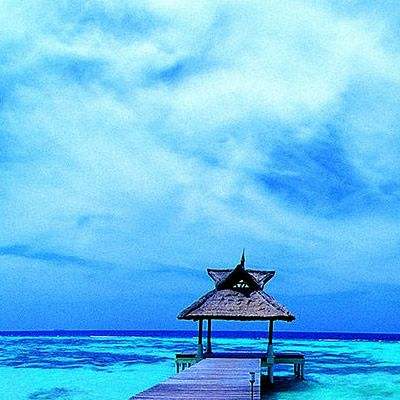 bob体肓官方网站